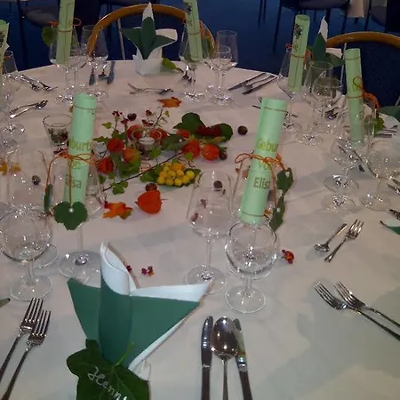 酒店 亨内夫欧罗公园酒店